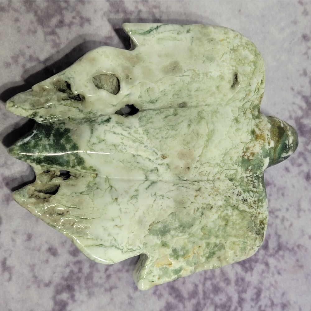 Moss Agate Sea Turtle‎ - Picture 3 of 5